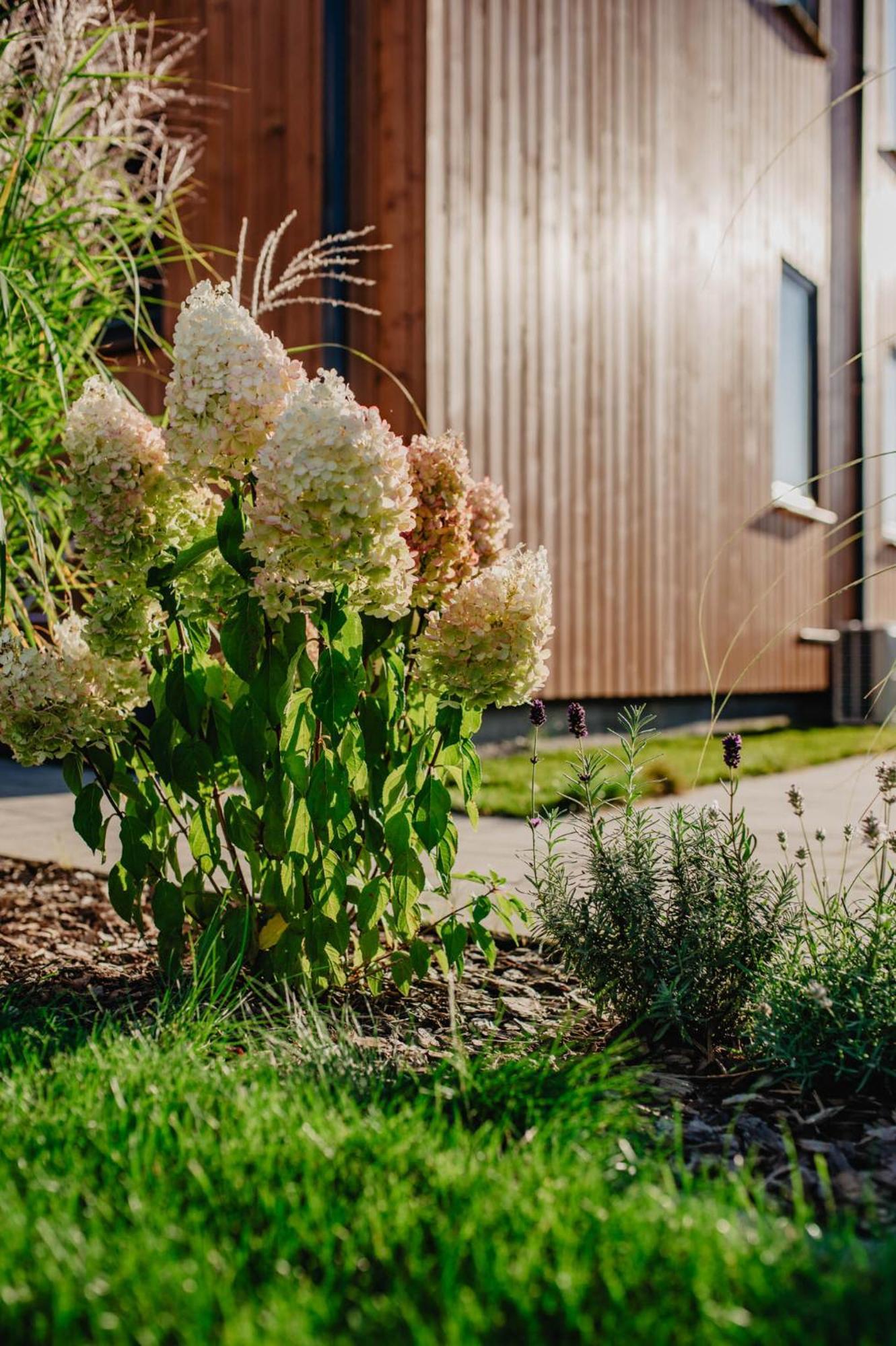 Apartamento Dwa Brzegi Międzywodzie Exterior foto